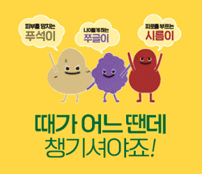 아로나민C플러스