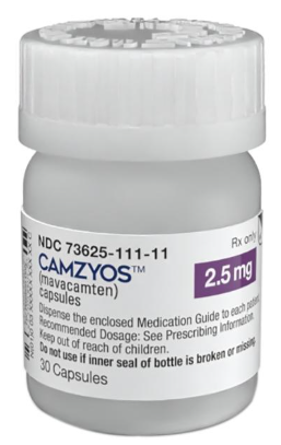 캄지오스, 청소년 심근병증서도 효과...적응증 확대 청신호