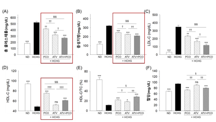 "폴리코사놀–스타틴 병용, 지질·장기보호 지표 개선"