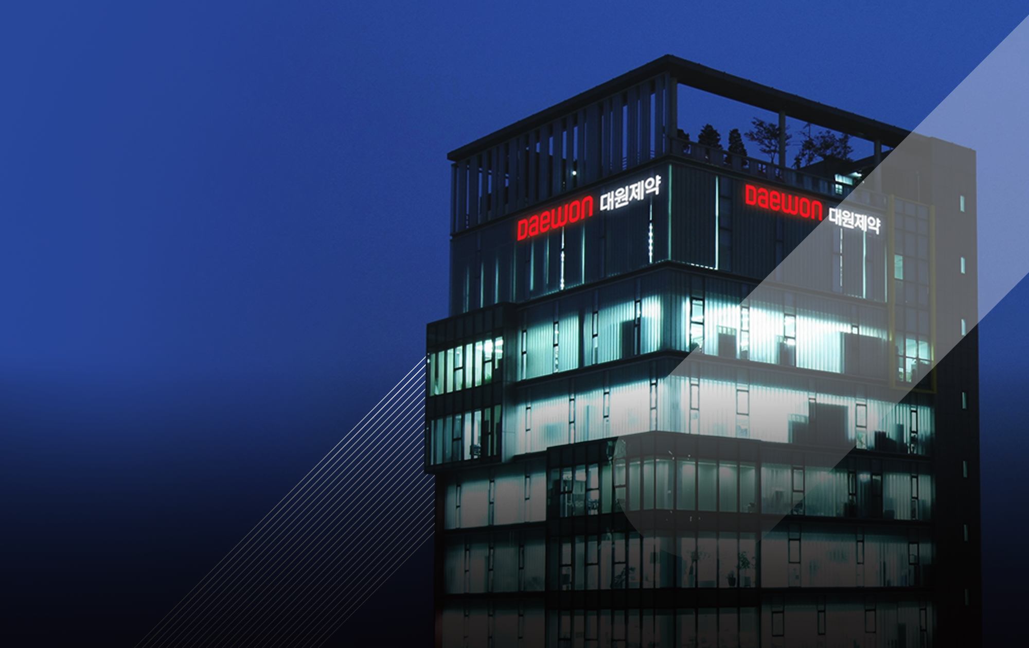 식사 무관한 피타바스타틴-페노피브레이트 복합제 허가