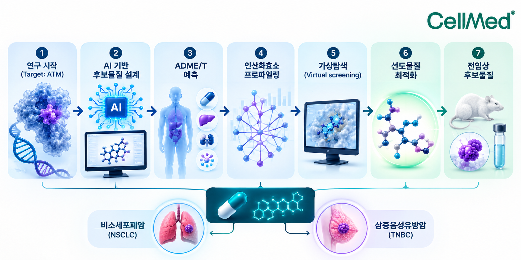 셀메드, AI 기반 차세대 항암신약 개발…난치성 고형암 공략