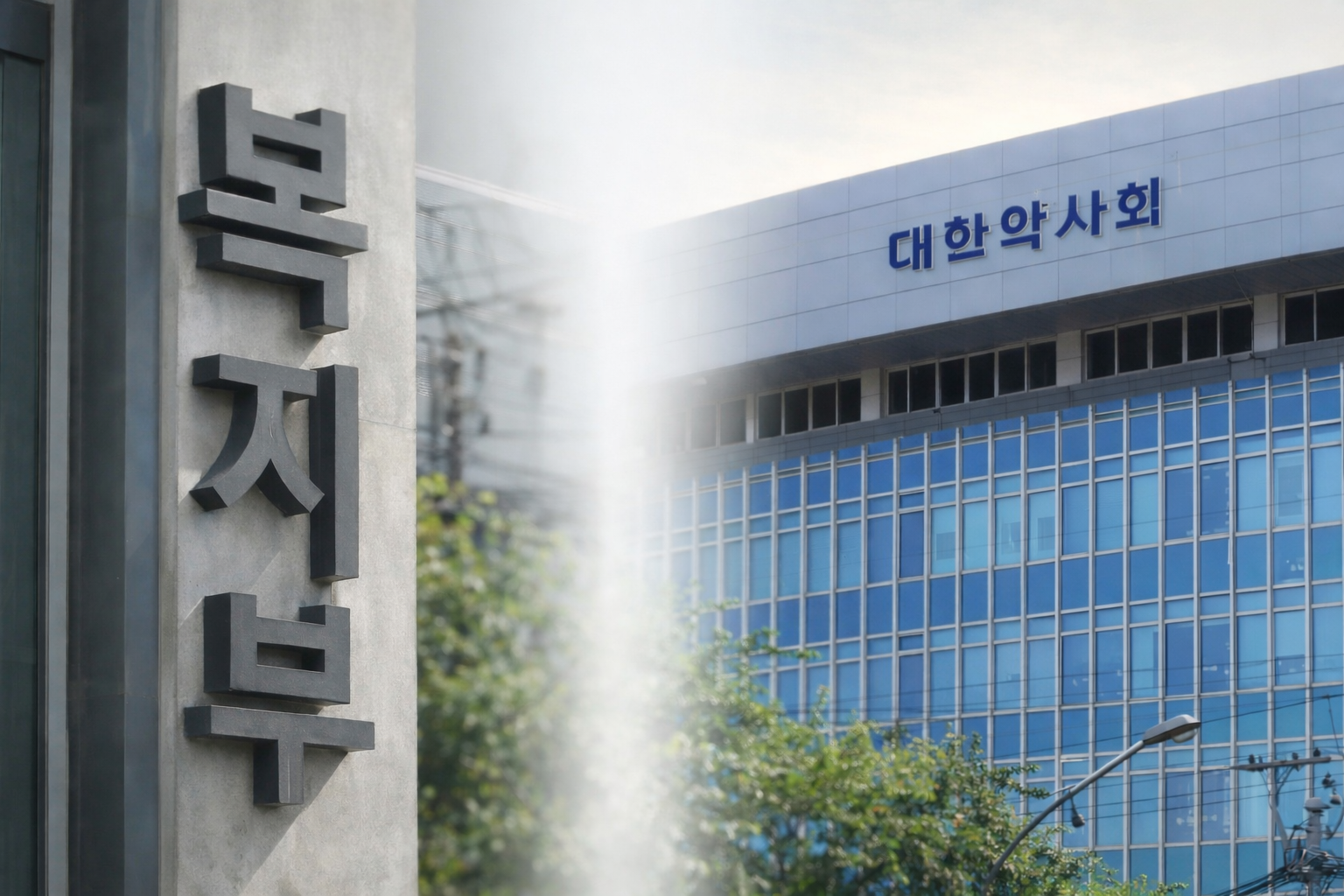 플랫폼 도매 금지·창고형·한약사…약-정 실무협의 본격화