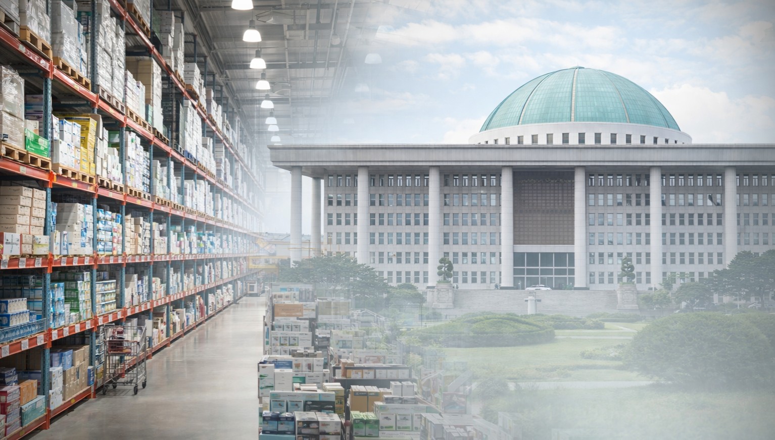 창고형 약국 방지 국회법안 6건...속도 못내는 입법