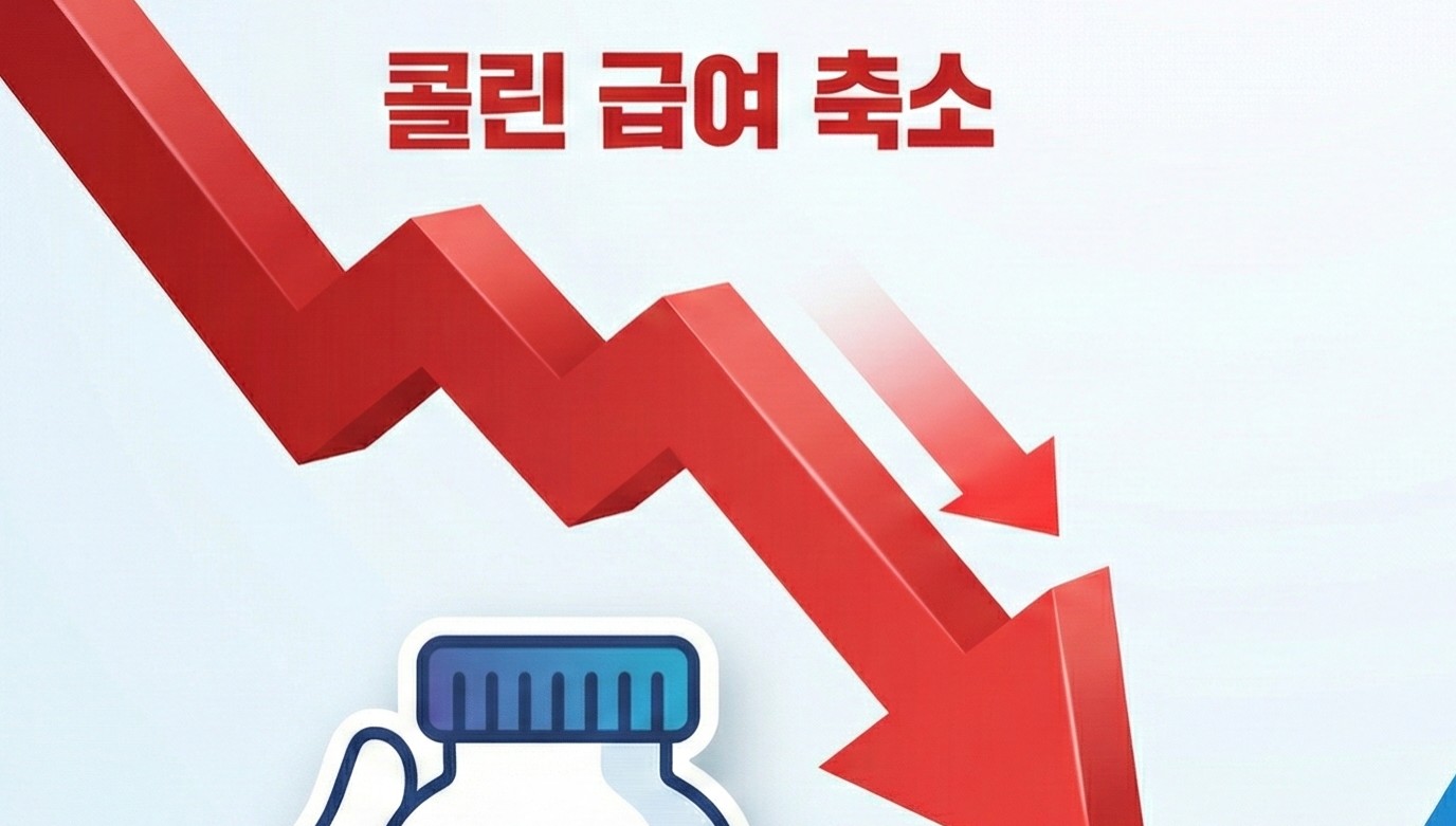 콜린 급여축소에 메만틴 틈새공략...급여 진입 잇따라