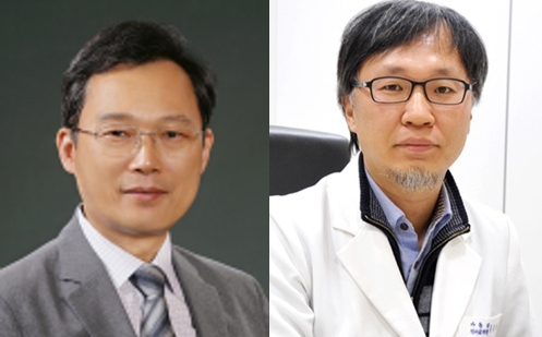 차기 심평원장 후보에 홍승권·정형선 교수 등 거론