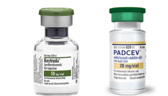 '파드셉+키트루다' 급여 가시권…방광암 치료환경 변화 예고